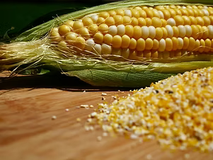 Yellow Stone Ground Grits - 1 lb.
