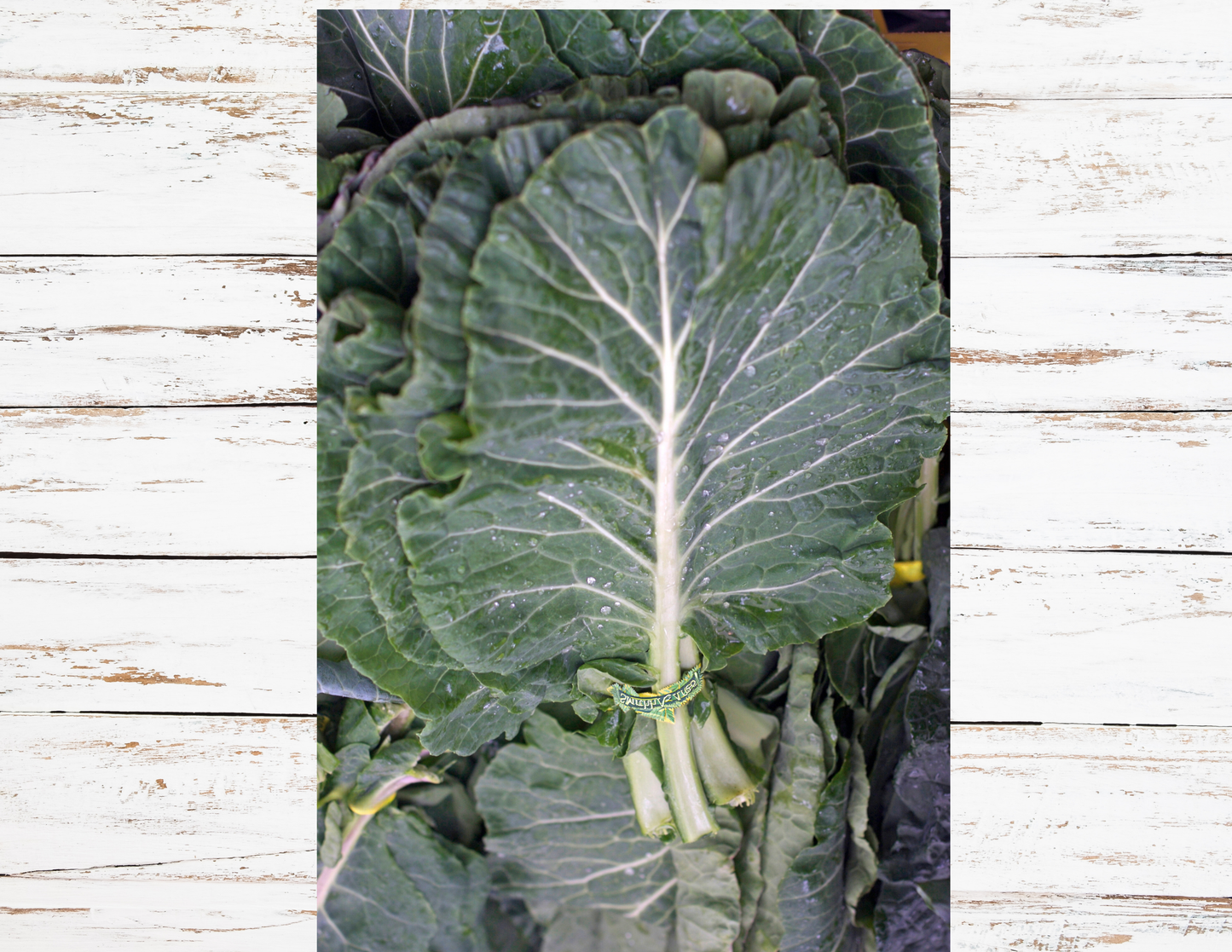 Collard Greens