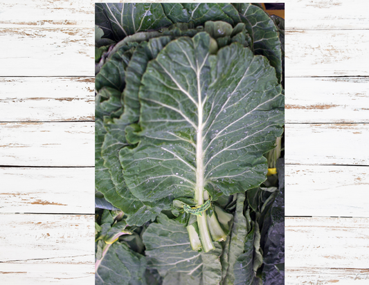 Collard Greens