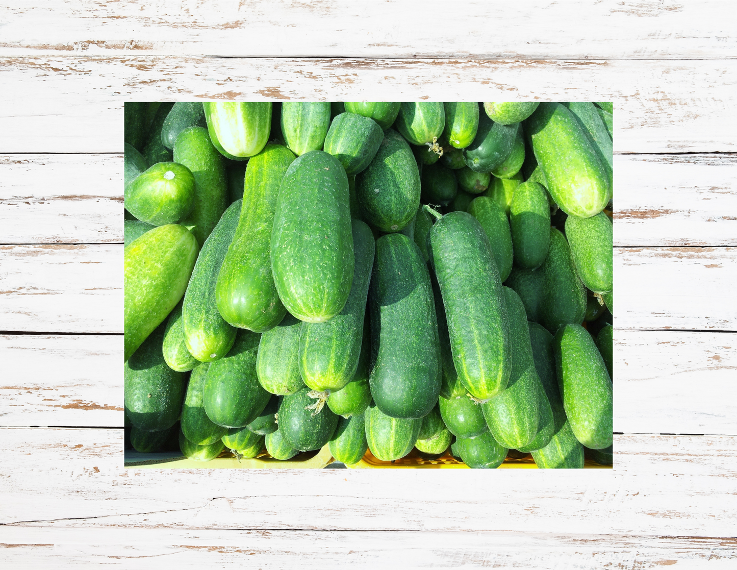 Cucumbers