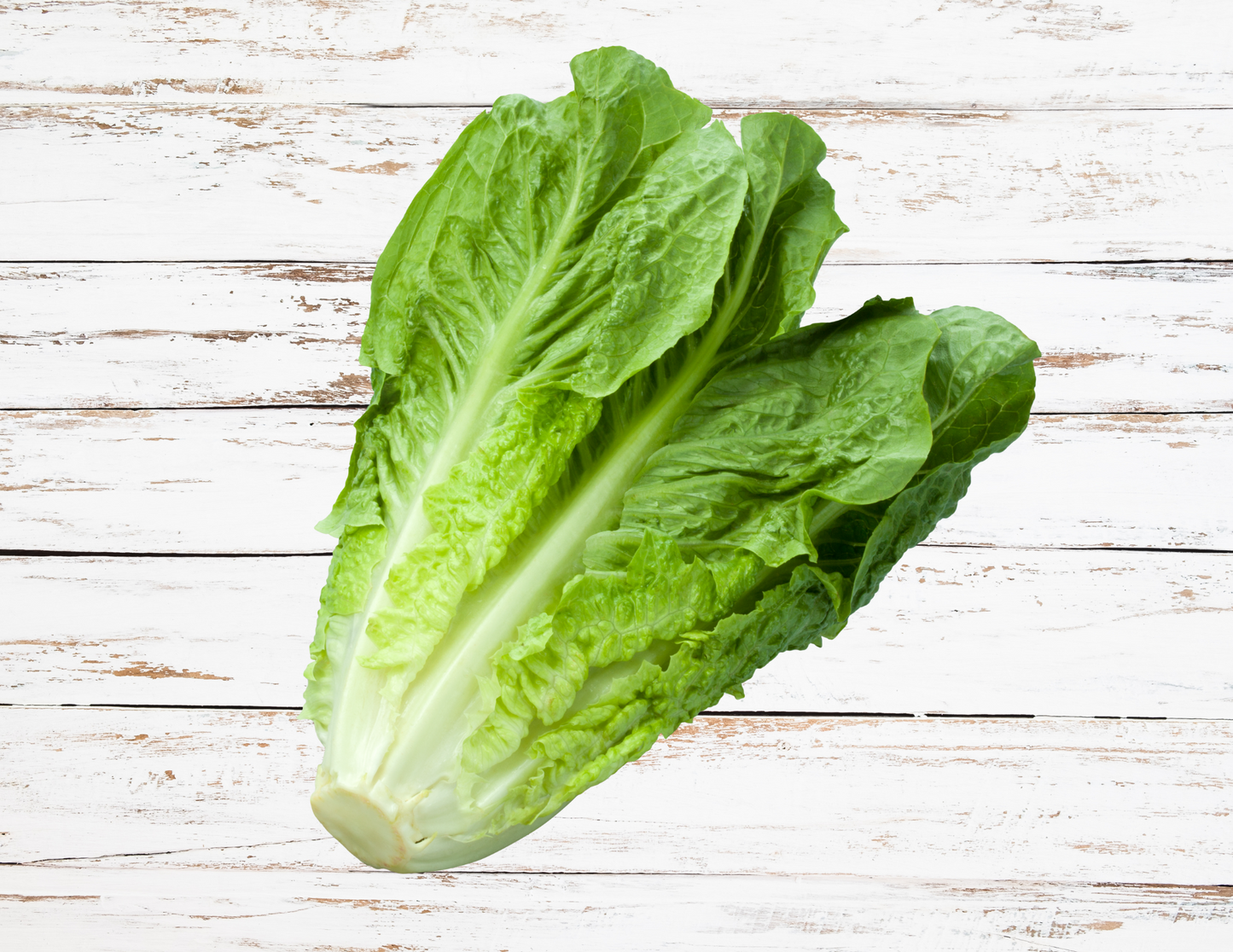 Romaine Lettuce