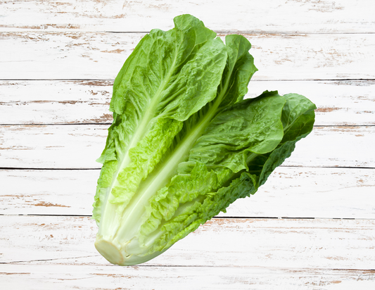 Romaine Lettuce
