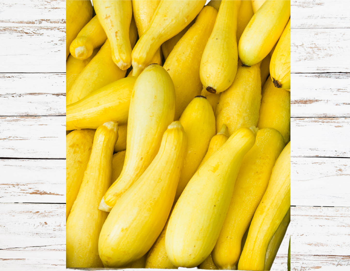 Squash