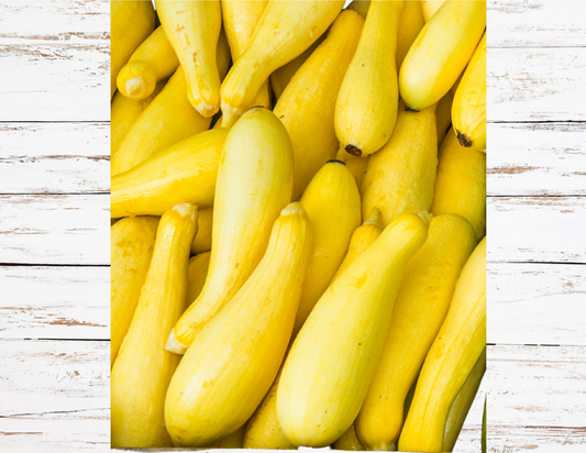 Squash