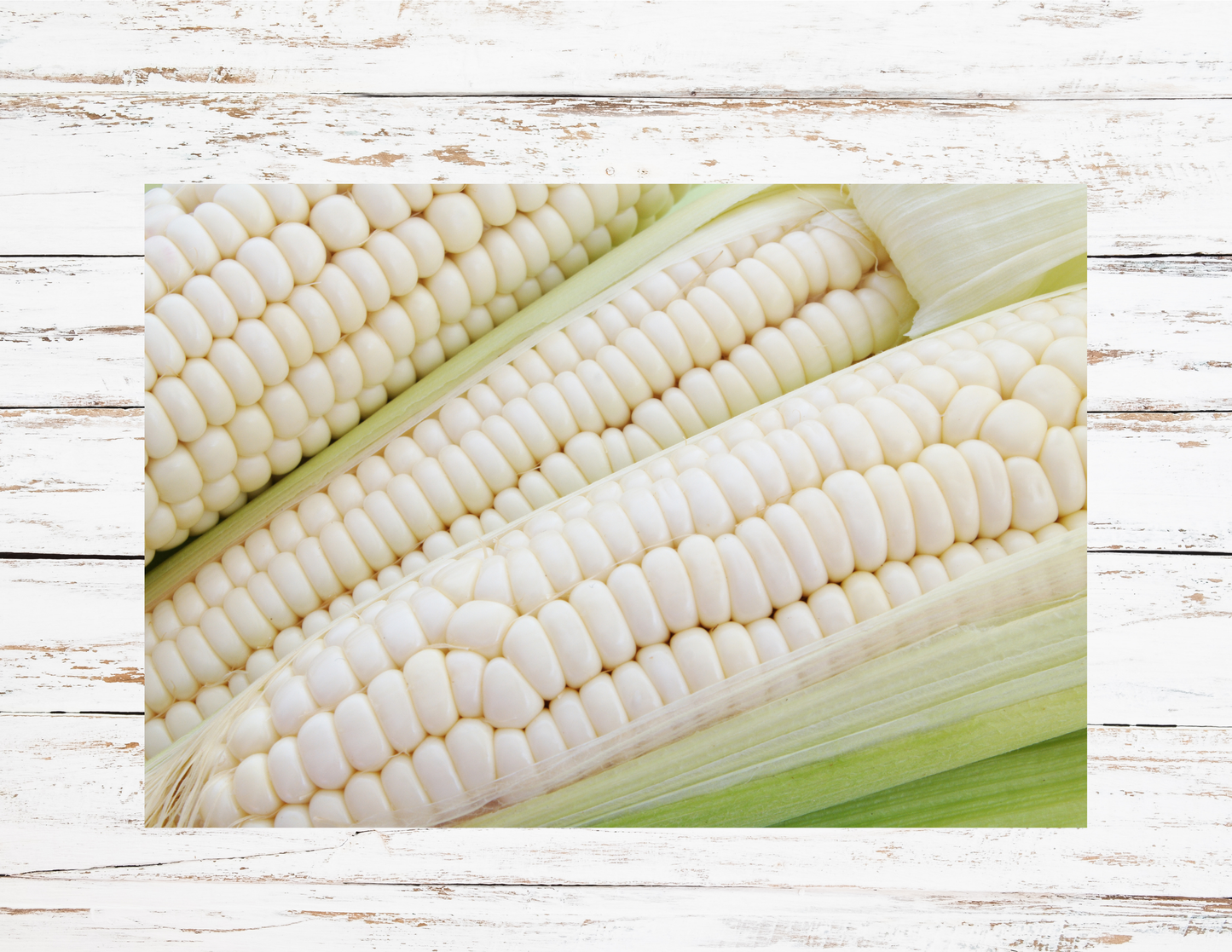 White Corn on the Cob