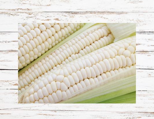 White Corn on the Cob