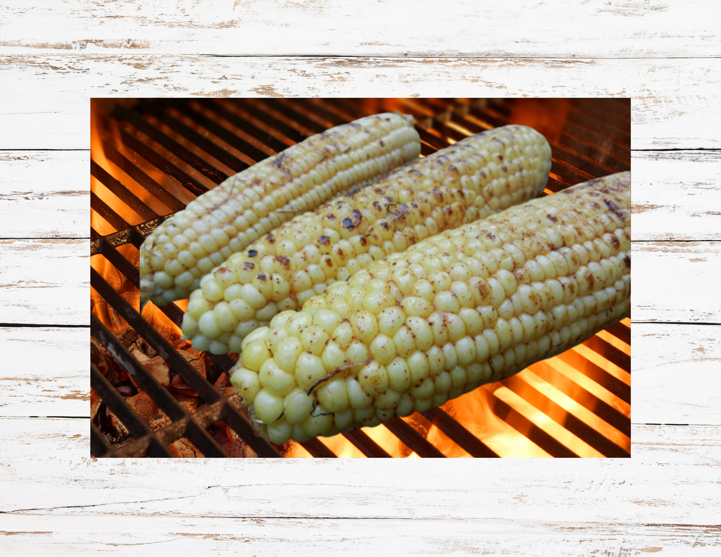 White Corn on the Cob